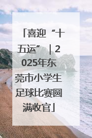 喜迎“十五运”｜2025年东莞市小学生足球比赛圆满收官
