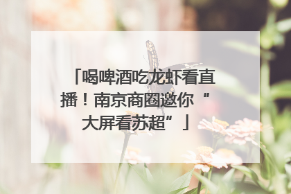 喝啤酒吃龙虾看直播！南京商圈邀你“大屏看苏超”