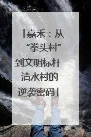 嘉禾：从“拳头村”到文明标杆 清水村的逆袭密码