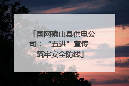 国网确山县供电公司：“五进”宣传 筑牢安全防线