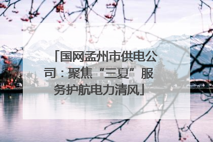 国网孟州市供电公司：聚焦“三夏”服务护航电力清风