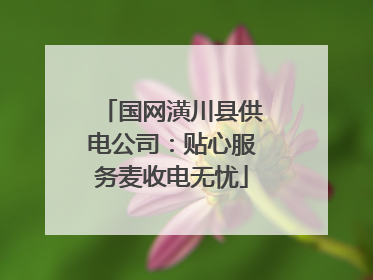 国网潢川县供电公司：贴心服务麦收电无忧