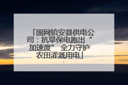 国网镇安县供电公司：抗旱保电跑出“加速度” 全力守护农田灌溉用电