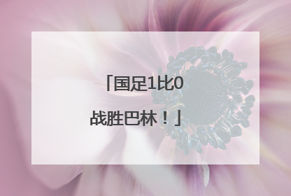 国足1比0战胜巴林！