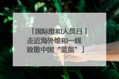 国际维和人员日丨走近海外维和一线 致敬中国“蓝盔”