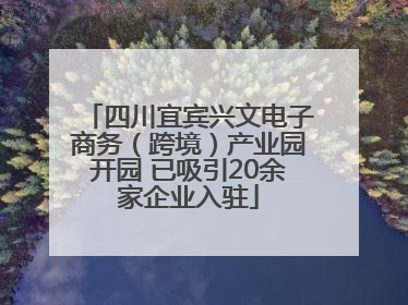 四川宜宾兴文电子商务（跨境）产业园开园 已吸引20余家企业入驻
