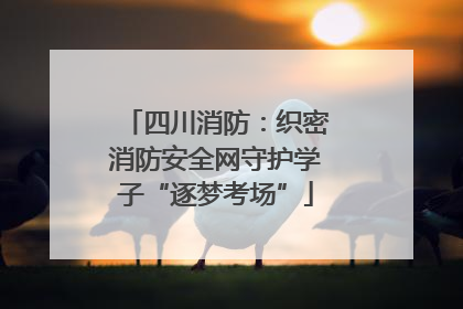 四川消防：织密消防安全网守护学子“逐梦考场”
