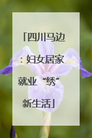 四川马边：妇女居家就业“绣”新生活