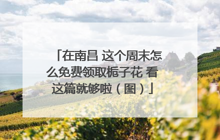 在南昌 这个周末怎么免费领取栀子花 看这篇就够啦（图）