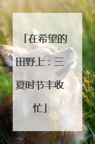 在希望的田野上：三夏时节丰收忙