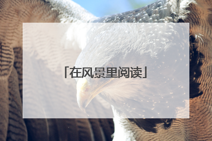 在风景里阅读