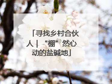 寻找乡村合伙人｜“棚”然心动的盐碱地