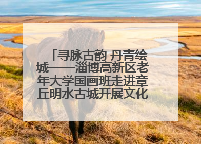 寻脉古韵 丹青绘城——淄博高新区老年大学国画班走进章丘明水古城开展文化研学活动