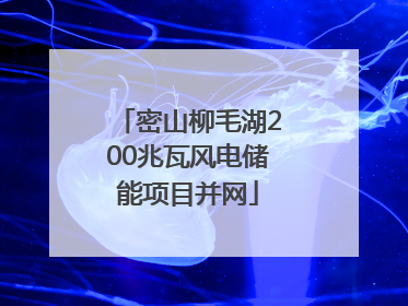 密山柳毛湖200兆瓦风电储能项目并网