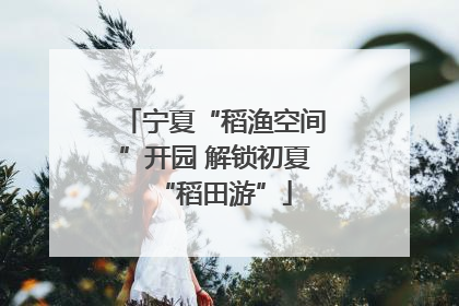 宁夏“稻渔空间”开园 解锁初夏“稻田游”