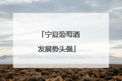 宁夏葡萄酒发展势头强