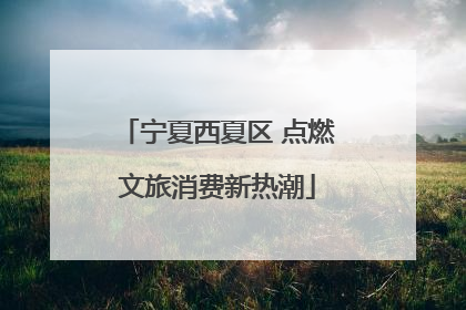 宁夏西夏区 点燃文旅消费新热潮