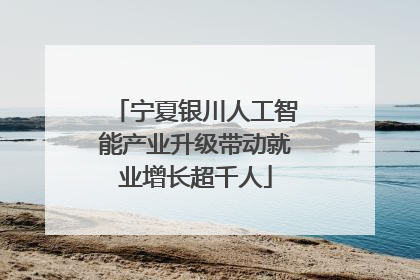 宁夏银川人工智能产业升级带动就业增长超千人