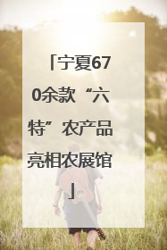 宁夏670余款“六特”农产品亮相农展馆