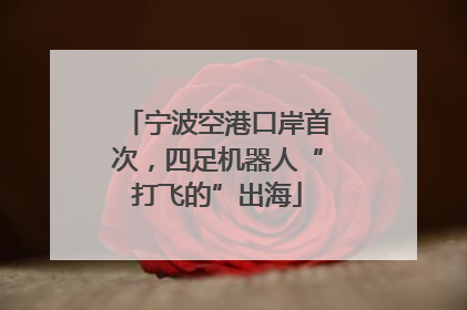 宁波空港口岸首次，四足机器人“打飞的”出海
