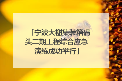 宁波大榭集装箱码头二期工程综合应急演练成功举行