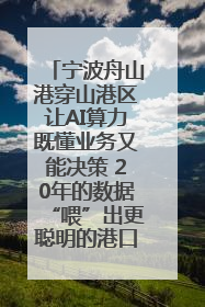 宁波舟山港穿山港区让AI算力既懂业务又能决策 20年的数据“喂”出更聪明的港口
