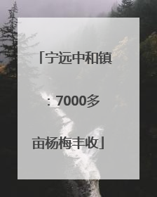 宁远中和镇：7000多亩杨梅丰收