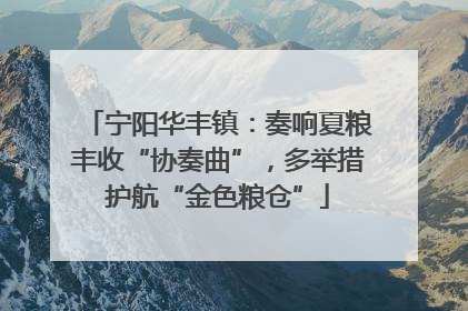 宁阳华丰镇：奏响夏粮丰收“协奏曲”，多举措护航“金色粮仓”
