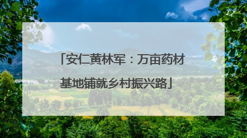 安仁黄林军：万亩药材基地铺就乡村振兴路