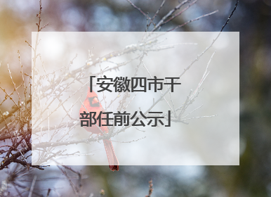 安徽四市干部任前公示