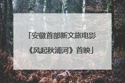 安徽首部新文旅电影《风起秋浦河》首映