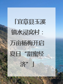宜章县玉溪镇水浸窝村：万亩杨梅开启夏日“甜蜜经济”