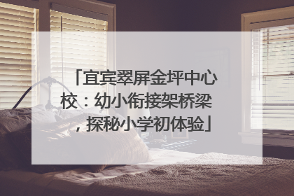 宜宾翠屏金坪中心校：幼小衔接架桥梁，探秘小学初体验