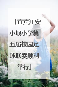 宜宾江安小坝小学第五届校园足球联赛顺利举行