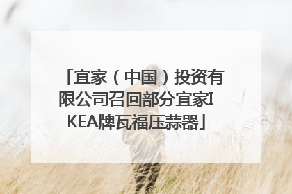 宜家（中国）投资有限公司召回部分宜家IKEA牌瓦福压蒜器
