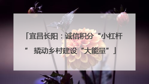 宜昌长阳：诚信积分“小杠杆” 撬动乡村建设“大能量”