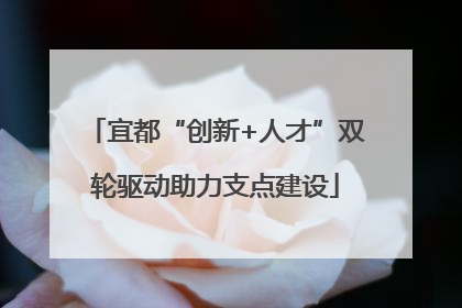 宜都“创新+人才”双轮驱动助力支点建设