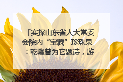 实探山东省人大常委会院内“宝藏”珍珠泉：乾隆曾为它题诗，游客无需预约免费游览