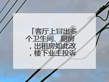 客厅上冒出多个卫生间、厨房，出租房如此改，楼下业主投诉：多少不舒服