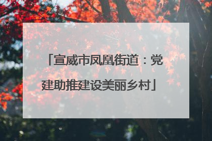 宣威市凤凰街道：党建助推建设美丽乡村