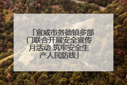宣威市务德镇多部门联合开展安全宣传月活动 筑牢安全生产人民防线
