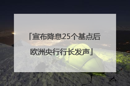 宣布降息25个基点后 欧洲央行行长发声