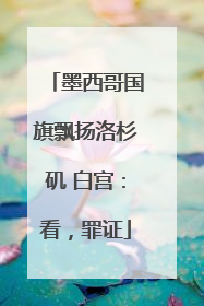 墨西哥国旗飘扬洛杉矶 白宫：看，罪证