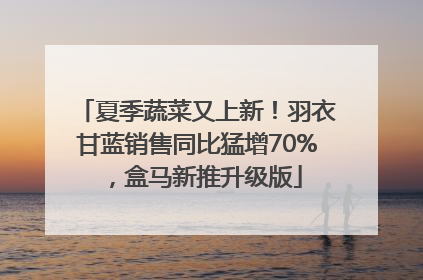 夏季蔬菜又上新！羽衣甘蓝销售同比猛增70%，盒马新推升级版