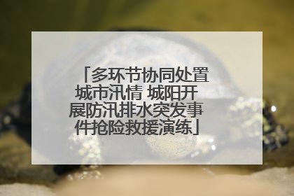 多环节协同处置城市汛情 城阳开展防汛排水突发事件抢险救援演练