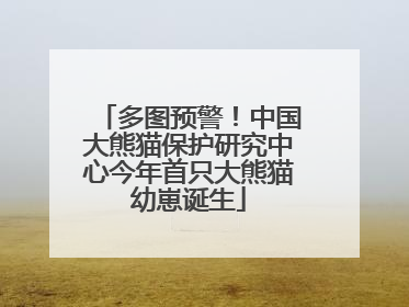 多图预警！中国大熊猫保护研究中心今年首只大熊猫幼崽诞生