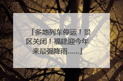 多地列车停运！景区关闭！福建迎今年来最强降雨……