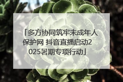多方协同筑牢未成年人保护网 抖音直播启动2025暑期专项行动