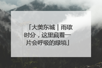 大美东城｜雨歇时分，这里藏着一片会呼吸的绿境