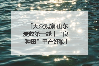 大众观察·山东麦收第一线丨“良种田”里产好粮